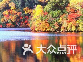 湖州代表团审议政府工作报告