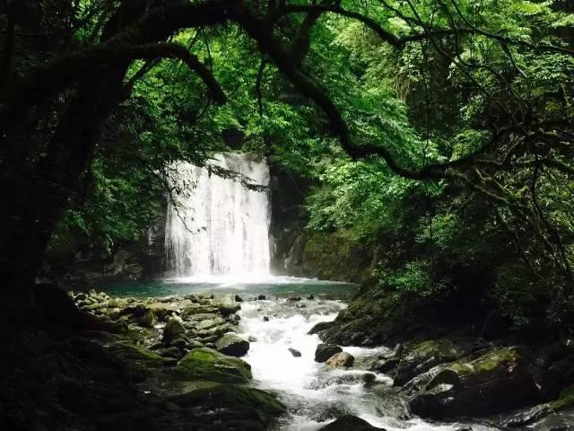 永善召开县城“五大秩序”整治专题会议